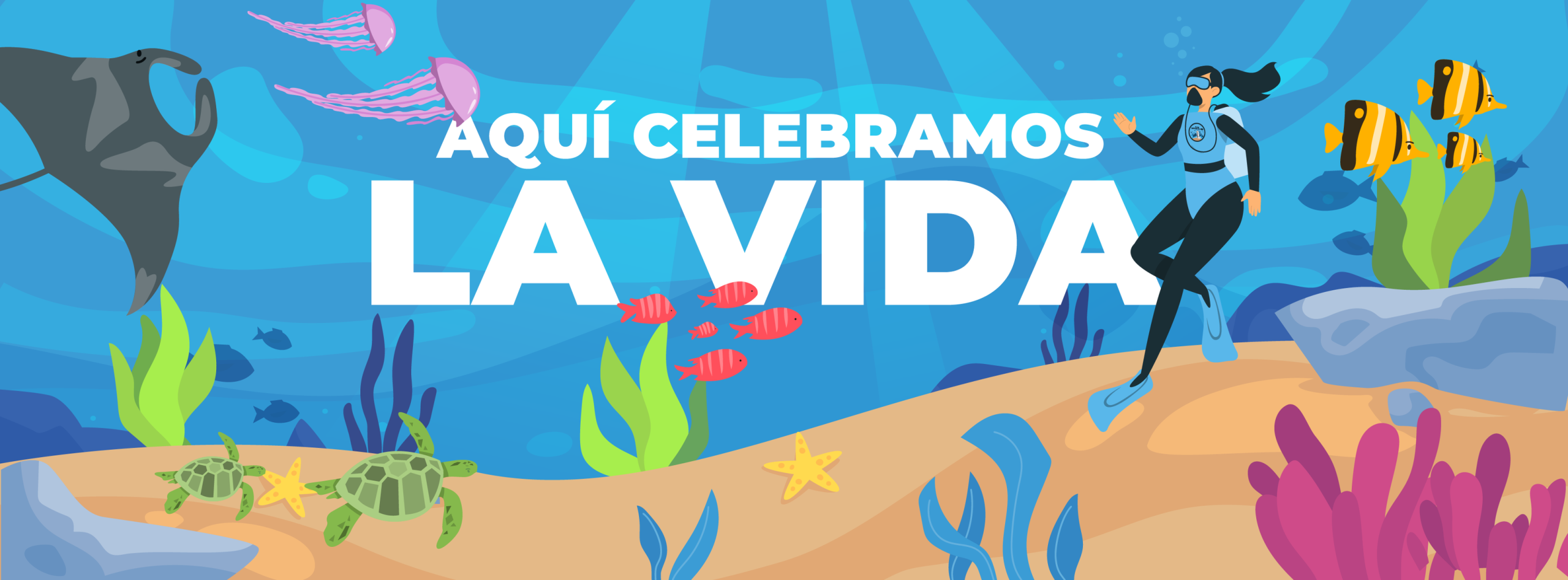 486092952_701781965699610_4261332928782339947_n